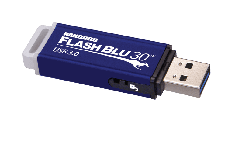 Kanguru Flashblu30